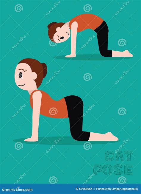 Yoga Cat Pose Cartoon Vector Illustration Illustration de Vecteur - Illustration du vecteur ...
