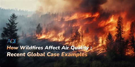 How Wildfires Affect Air Quality: Recent Global Case Examples | AQI
