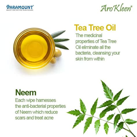 Buy AROKLEEN NATURAL DAILY CLEANSING FACIAL WET WIPES WITH NEEM & TEA ...