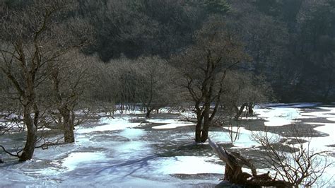 Image result for Spring Summer Fall Winter and Spring 2003