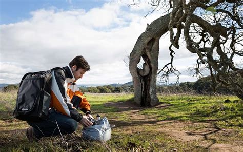 Buy Lowepro Hatchback BP 150 AW II DSLR Camera Backpack Case (Grey ...