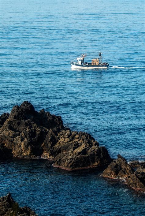 Image result for Creative JS Films