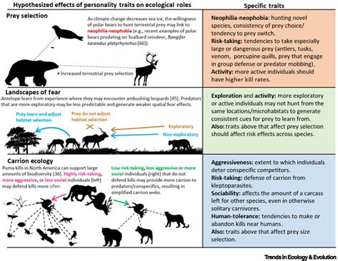 14 Examples Of Keystone Species And Their Ecosystem Roles Environment Go