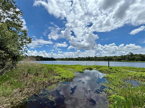 Buy and Sell in Valdosta, Georgia | Facebook Marketplace