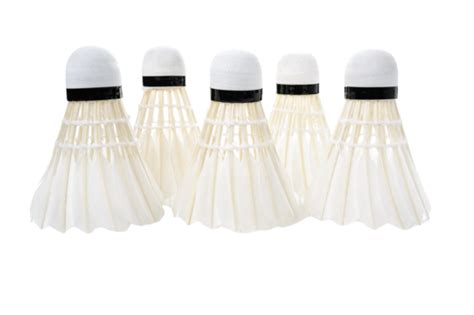 Shuttle Cock Vector Graphics PNG 的图像结果