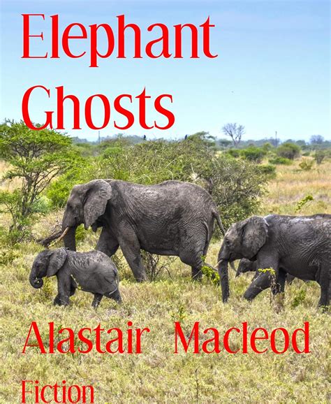 Elephant Ghosts eBook : Macleod, Alastair: Amazon.in: Books