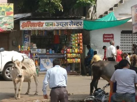 Shreenath Pan And Juice Center, Eklingji - Restaurant reviews