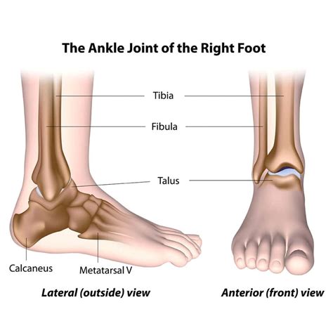 Broken or Sprained Ankle? - Pontchartrain Orthopedics & Sports Med