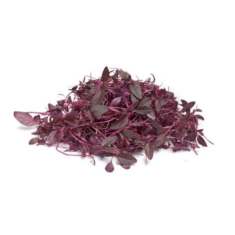 Golden Hills Farm™ Amaranthus Red Seeds, Chaulai Saag Microgreen Seed ...