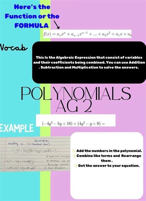 Polynomial Data Chart 的图像结果