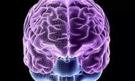 Hepatic encephalopathy can be mistaken for dementia in many cases: Study
