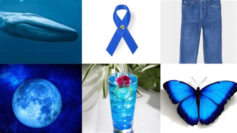 Top 250 Must-See List of Blue Things Around Us - Meredith Plays