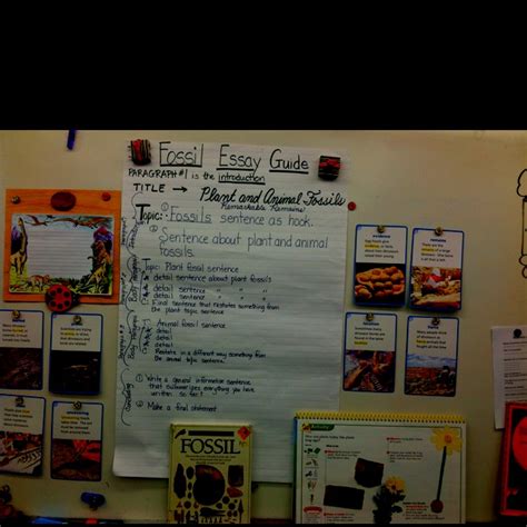 Image result for Visual Examples of a Paragraph Writing