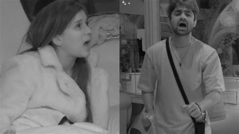 Bigg Boss 17: Mannara Chopra Calls Abhishek Kumar An 'Ass' As Duo Gets ...