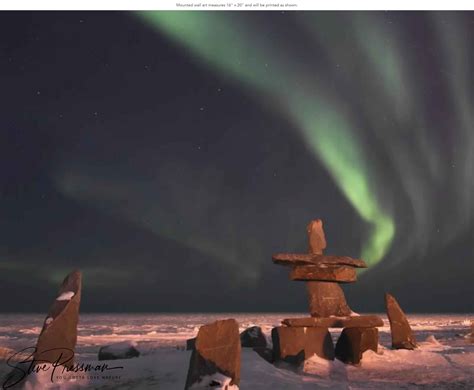 Love Nature 的图像结果