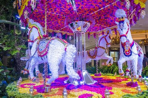 United Events, Delhi - Planner - Chattarpur - MG Road - Weddingwire.in