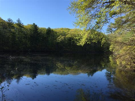 Noanet Woodlands, Dover, MA - The Trustees of Reservations