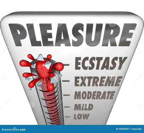 Pleasure Thermometer Measuring Enjoyment Comfort Ecstasty Level Royalty ...