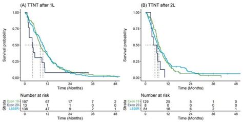 Prevalence, Treatment Patterns, and Outcomes of Individuals with EGFR ...