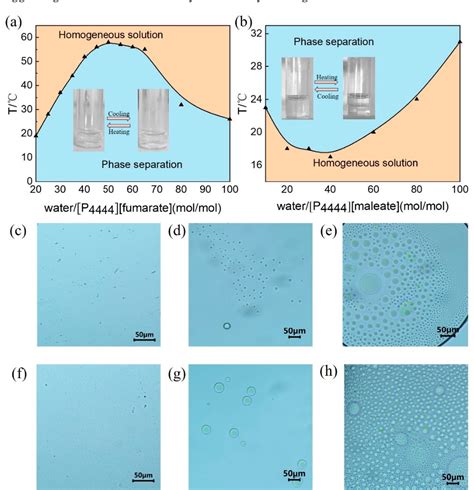Image result for Aqueous Two-phase System Applications