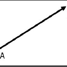 Vector Representation 的图像结果
