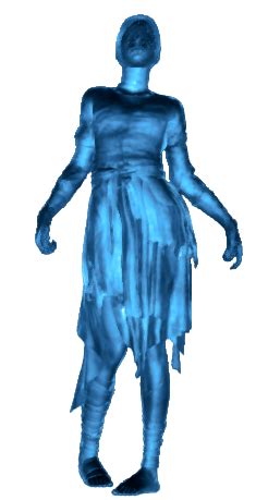 Poltergeist - bg3.wiki