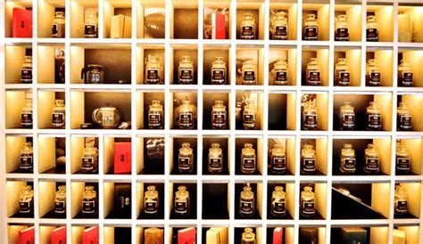 Infinitea Tea Room, Cunningham Road, Bangalore | WhatsHot Bangalore