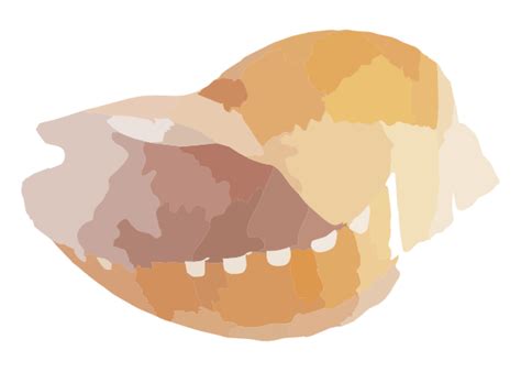 Image result for Shell Script Clip Art