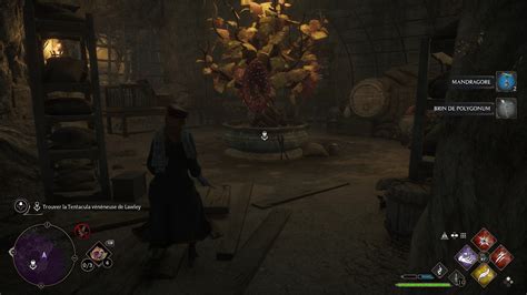 Hogwarts Legacy walkthrough: How to complete Venomous Revenge side quest