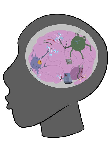 Cognitive Science at UCSD: An enviable choice or just a backup? - The ...