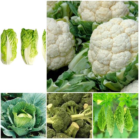F1 seeds hybrid vegetables winter season, (400 seeds),5 varieties ...