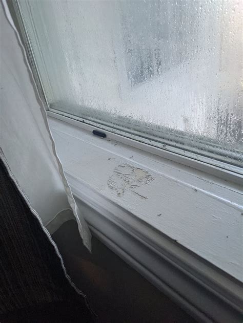 LINCOLN INN FREDERICTON (New Brunswick) - Hotel Reviews, Photos, Rate ...