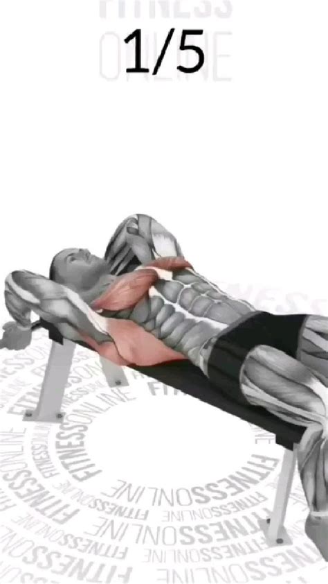 Image result for Workout Back Routine