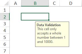 Image result for Data Validation Input Message