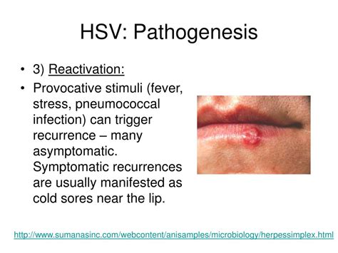 Course Objectives 的图像结果