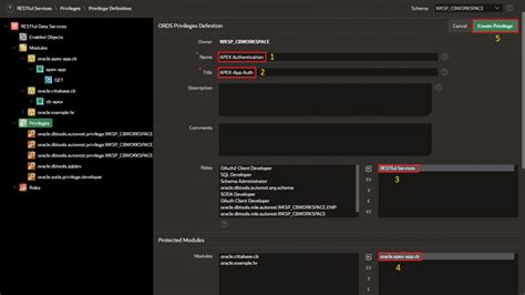 Image result for How to Apply API in Apex