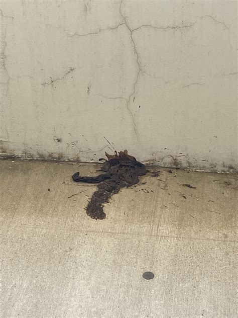 Human Poop On The Floor