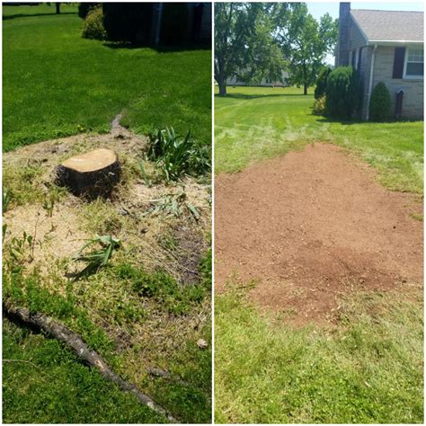 Stump Removal - Specialty Tree Service