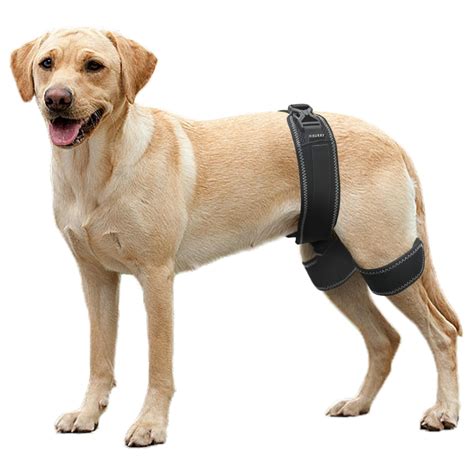 CHAMIN Dog Hip Orthotics Brace, Dog Hip Dysplasia Brace Harness, Support for Hip Dysplasia ...
