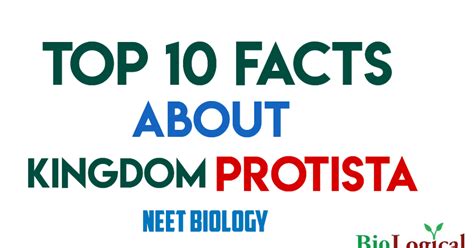 Top 10 facts about Kingdom Protista! NEET | NEET UG EXAM | NTA NEET