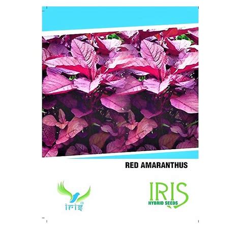 Iris Amaranthus Seeds Buy Online At Best Price In India | BigHaat