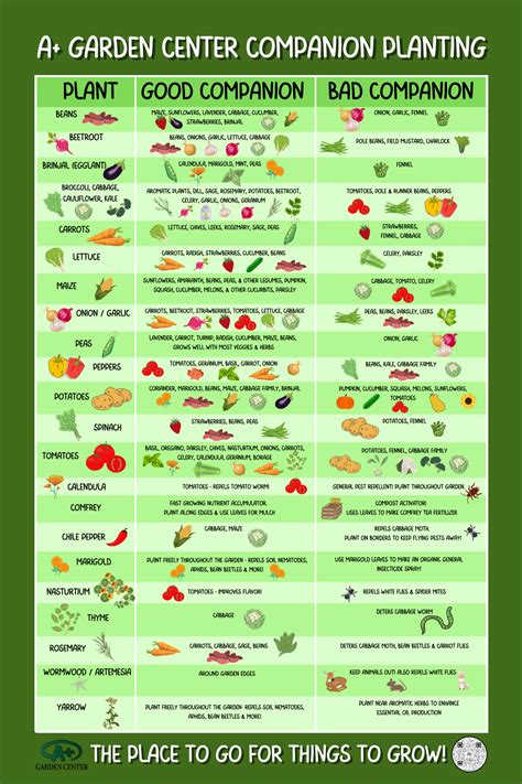 Companion Planting Chart Printable - King Printables
