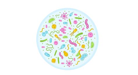 Learnursing - General Characteristics Of Microbes