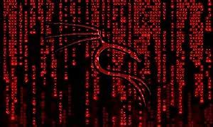 KALI LINUX 64-BIT 2018.1 bootable DVD : Amazon.in: Software