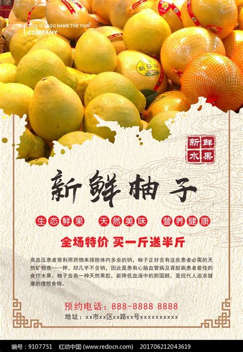 柚子水果海报_红动网
