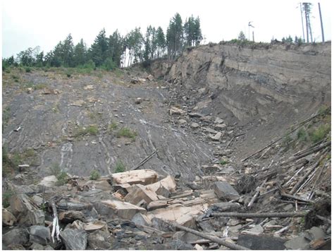 Lower Eocene Footprints from Northwest Washington, USA. Part 1: Reptile ...