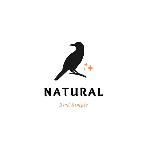 Image result for Bird Logo Intro Vedio Tutorial