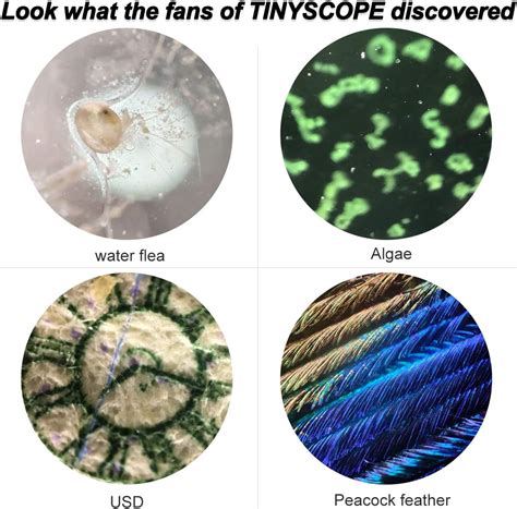 TinyScope Mobile Microscope Explorer's Kit, Liquid Sample India | Ubuy