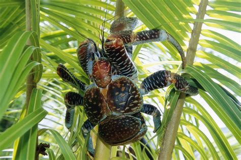 Image result for PowerShell Quick Reference