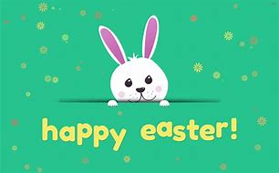 Image result for Cute Little Bunny